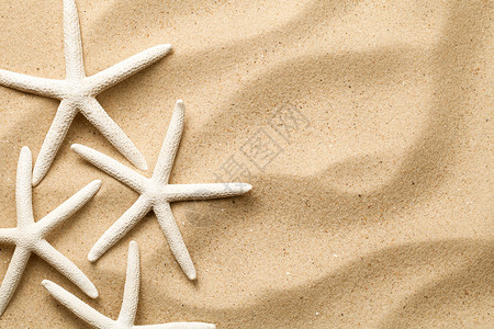 沙子上的海星图片