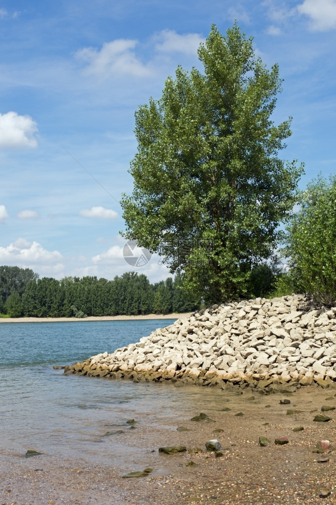 休息石头德国赫森州格恩海姆莱茵河滨岸支撑图片