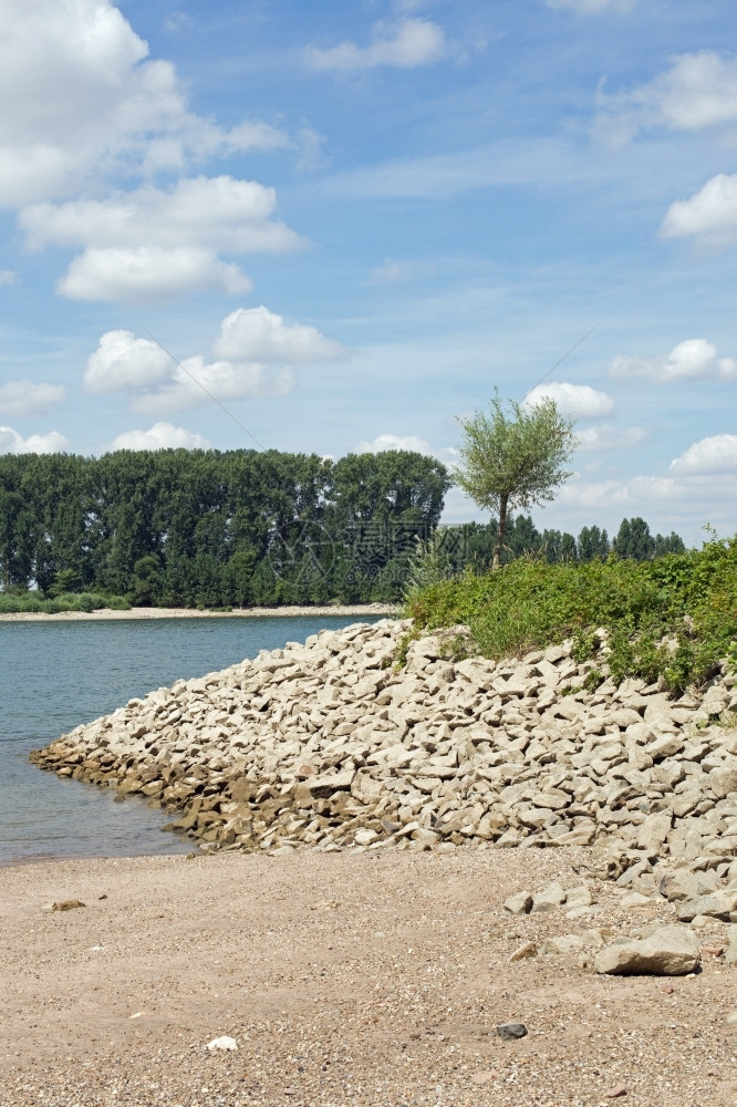 松弛恢复德国赫森州格恩海姆莱茵河滨岸贝壳图片