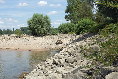 德国赫森州格恩海姆莱茵河滨岸格恩斯姆银行水图片