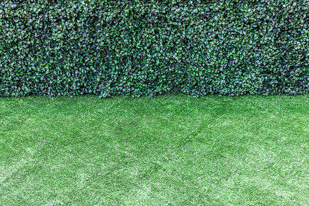 抽象的绿色人工造草地和灌木围栏无缝的自然图片