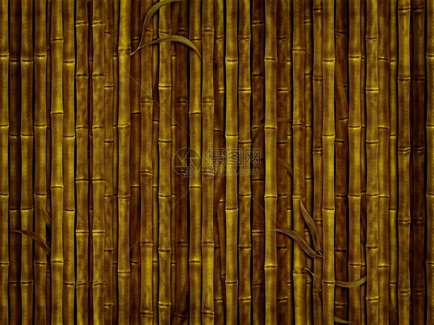 自然竹林背景插图墙叶子图片
