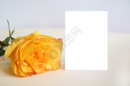 浅褐色的爱面和粉红背景的黄玫瑰旁边模拟卡叶子图片
