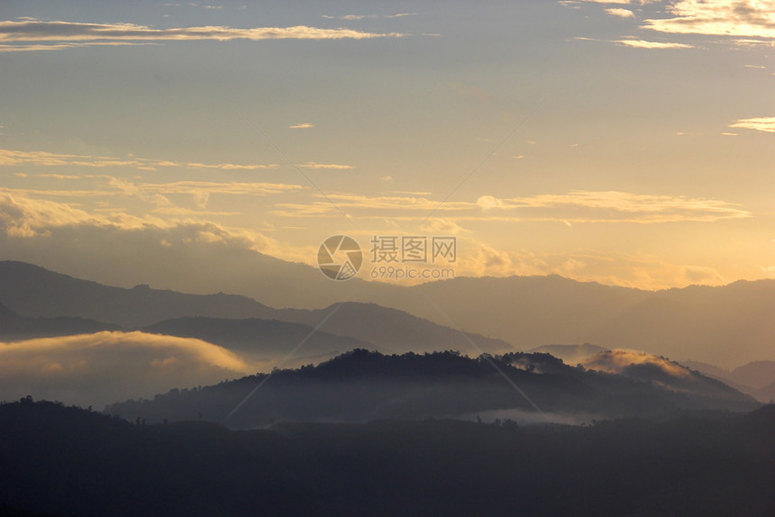 早晨森林风景图片