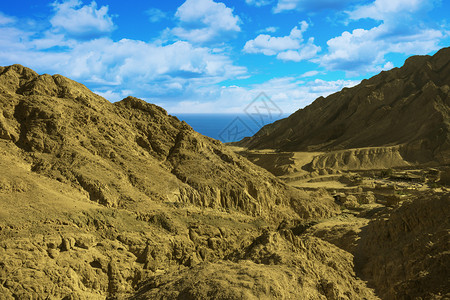 动物埃及塞奈半岛山丘的景象地质学峡谷图片