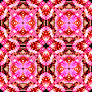 无缝的平方花样明粉色彩无缝的正方本背景亮粉色花的瓣对称图片