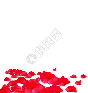 红玫瑰心美丽情人节浪漫的图片