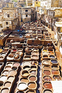 旅行摩洛哥Fes旧制革厂的工摩洛哥在职的轴图片