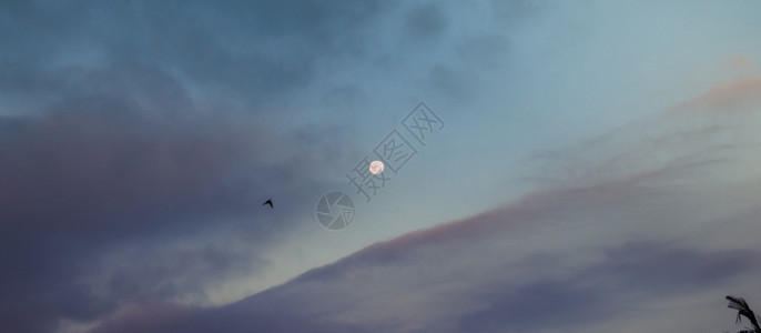 云明亮的满月和天空清晨满月图片