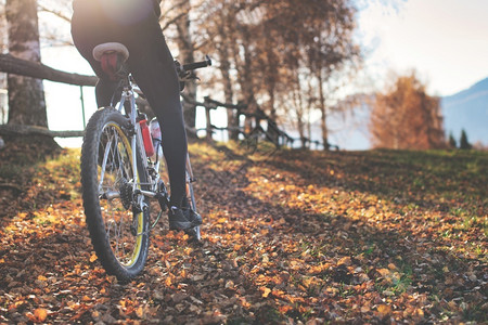 通道福利秋天在山丘的叶道上通过一辆山地自行车骑图片