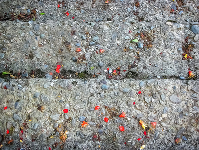 红花瓣和橙落在老石阶上岩背景的瀑布花瓣古老芽细节图片