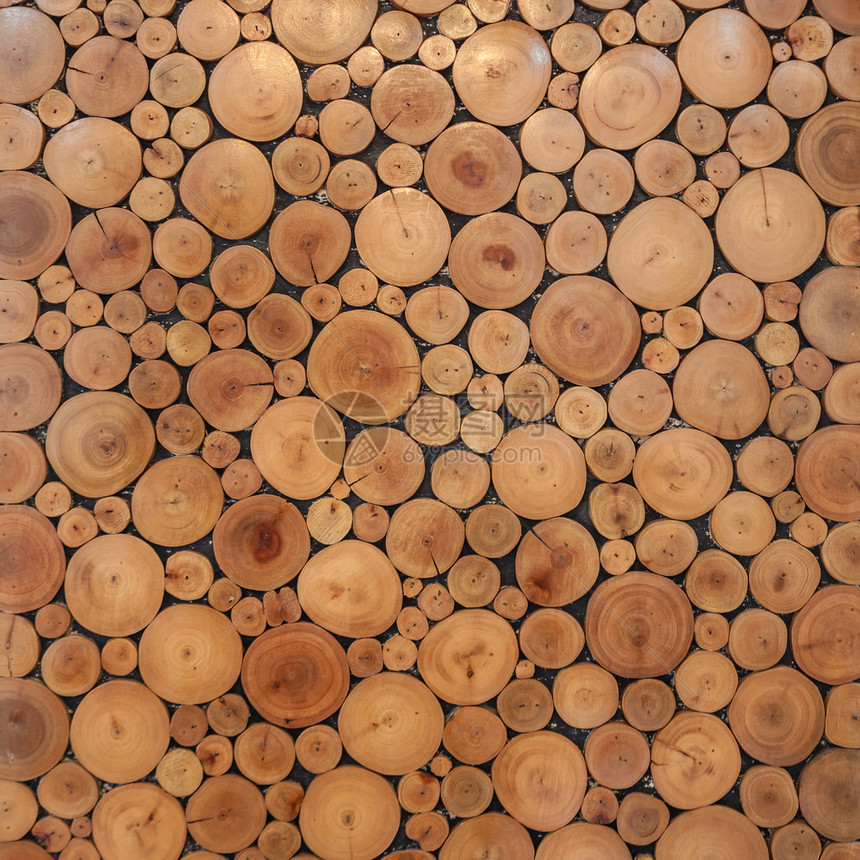 硬木棕色的生长树圆圈桩作为背景图片