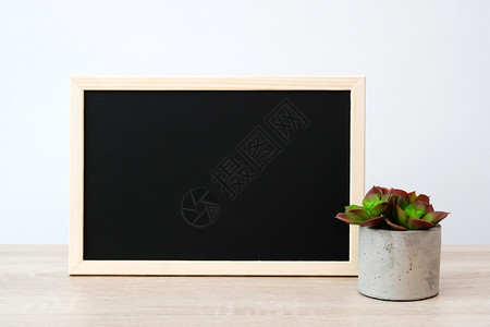 为了优质的植物白壁背景上桌边的黑板文字模空白的旧木纸粉笔板图片