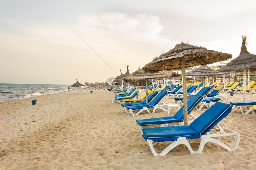 椅子突尼斯地中海沿岸带有稻草蓝沙椅和美丽的白树荫色哈马特海滩Hammametbeach沿着图片