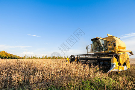 农场与联合收割机一道获大豆田黄河景观色的图片
