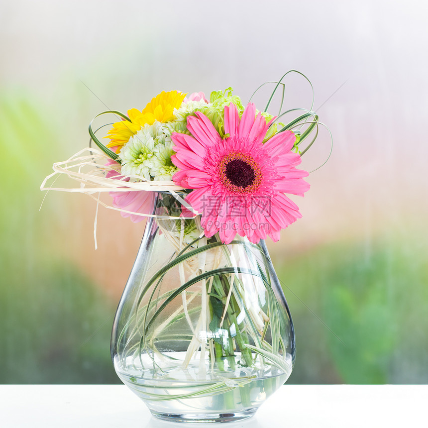 花瓶中美丽的花朵图片