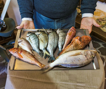 餐厅里的男人送来一个盘子里面有各种新鲜的鱼食物海胡桐背景图片