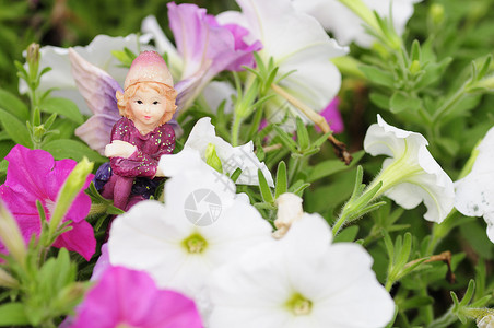 微笑在白色和粉红的花朵中展出一个仙女的雕像白色女图片