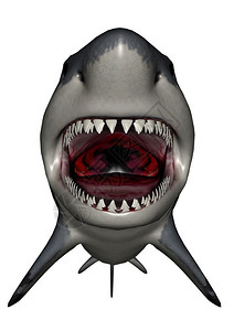 巨齿鲨白色背景的巨龙恐口三维转化动物形象的背景设计图片