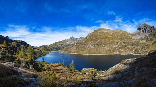 打印意大利北部阿尔卑斯山奥罗比亚的格梅利高山湖植物泊图片