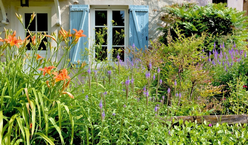 蓝色的快门百叶窗花朵在园中开一栋农村房子窗前的一片蓝色玻璃前面一栋农村房子窗前的一座花园里开图片