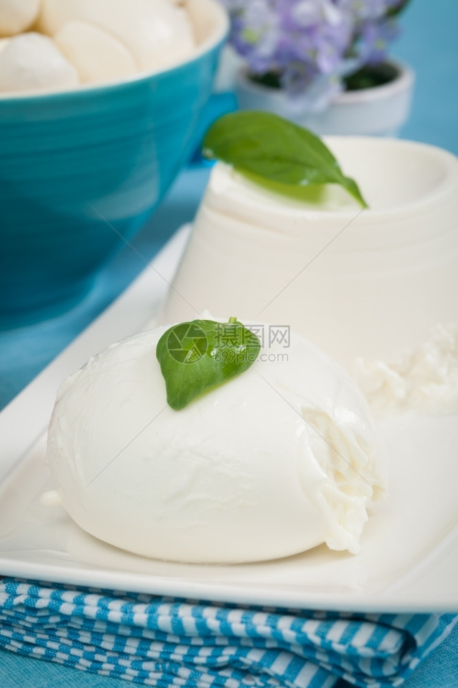 盘子乳制品新鲜的意大利奶制品如莫扎里拉瑞冰塔和樱桃西红柿图片