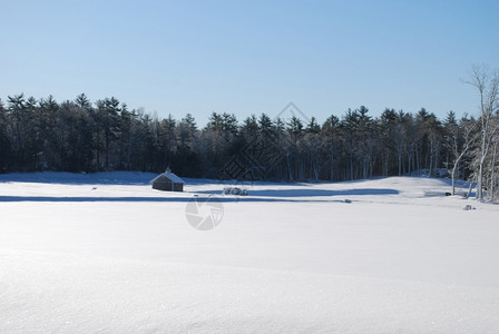 新英格兰暴风雪之后的平静冰景观冷冻图片