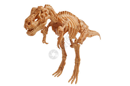 巨棘龙灭绝白色上隔离的巨恐龙侏罗纪怪物设计图片