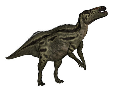 怪物史前白背景中孤立的山东龙恐3D形成山东恐3D生成的D插图背景图片