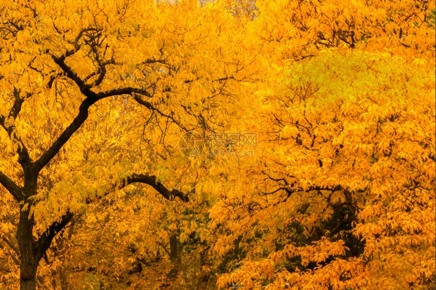多彩的山间秋色图片