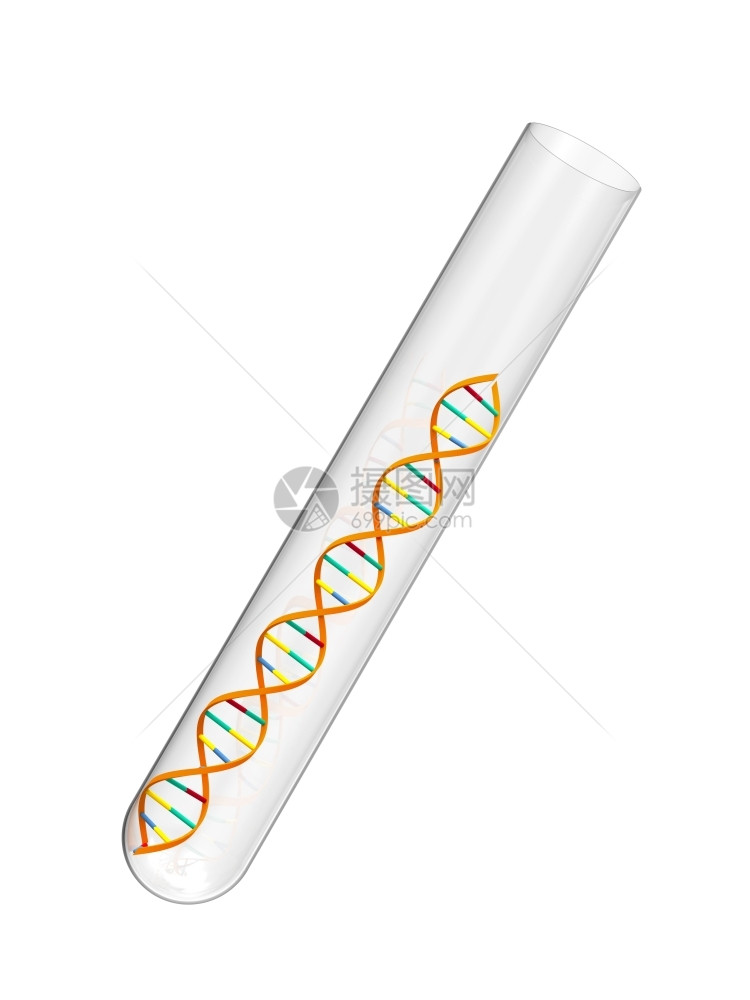 管子一种在白色背景隔离的试验管中脱氧核糖酸染色体图片