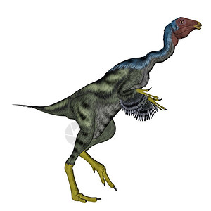 自然白色的鸟在背景下行走的恐龙3D转化背景图片