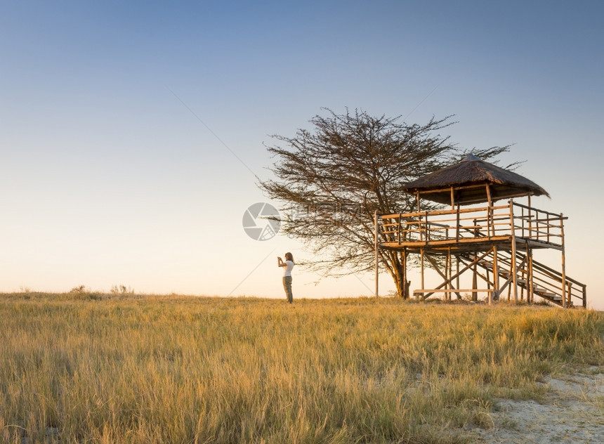 一种人们名年轻妇女站在长草丛中拍摄日落的照片同时在博茨瓦纳非洲MakgadidkgkadiPans度假时拍摄日落照片苹果浏览器图片