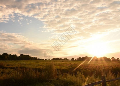 华丽的安详达克斯伯里太阳在美丽的草原上升起景色图片