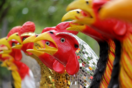 鸡娃鸡皮娃一堆瓷器公鸡形雕塑桩红色的动物背景