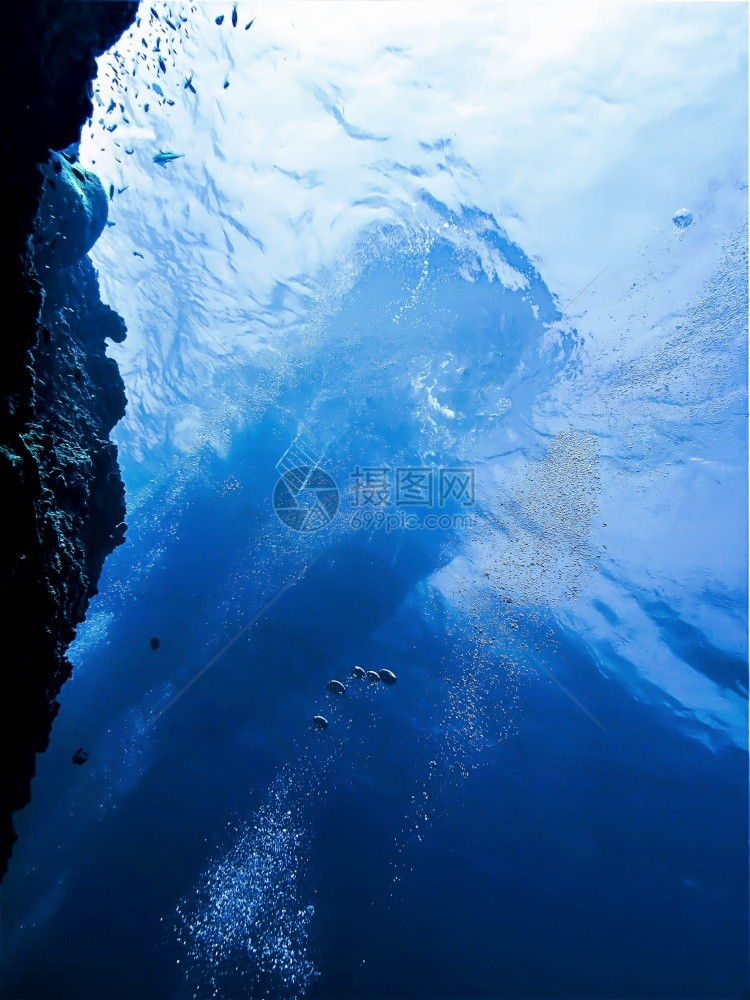蓝色的从深处升起水肺鱼图片