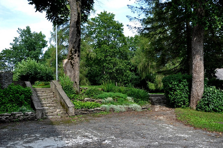 树木背景上的道路和旧楼梯森林户外图片