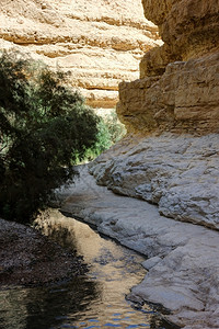 阿鲁戈特岩石峡谷高清图片
