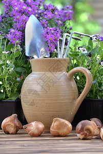 能够花和灯泡放在桌子上的一个水壶中园艺工具耙陶器图片