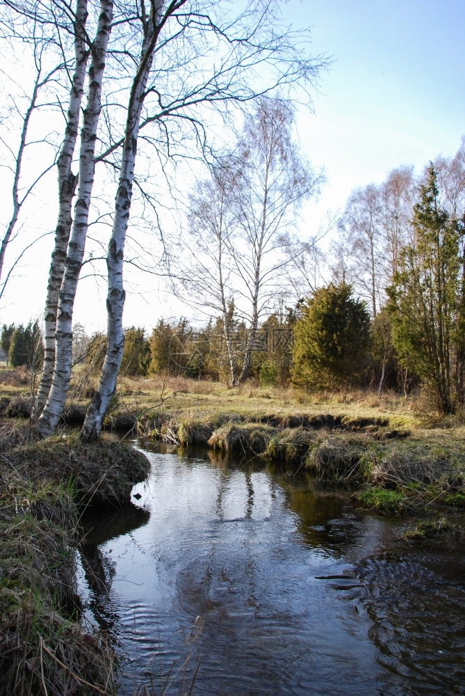 木头来自瑞典群岛奥兰的农村地貌中流淌着溪一种水图片