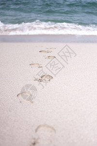 景观夏天海滩沙上人们的脚印和自然图片
