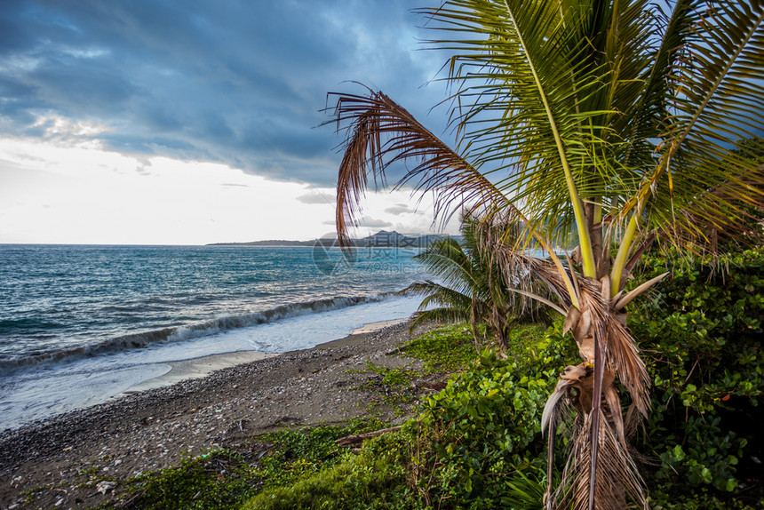 蓝色的奥乔自然牙买加热带水域绿色天堂牙买加图片