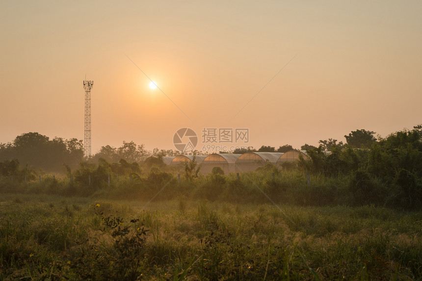 场景夏天空日出时有雾和田野的视图片