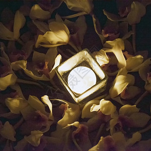 庆典派对夜晚在很多白兰花之间插上蜡烛图片
