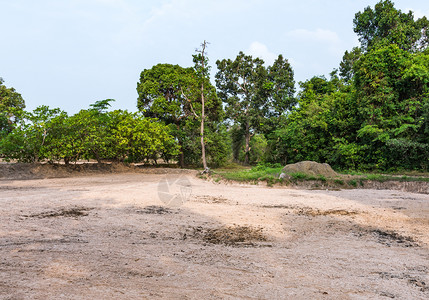 环境有机的准备在泰国农村森林附近耕种的干沙土供随时耕种场地图片