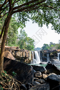 户外旅行自然林中美丽清新的瀑布级联背景图片