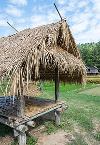 植物靠近户外位于泰国的稻田附近农人小屋图片