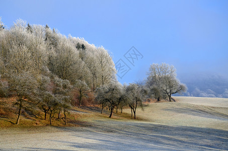 一月冬季自然山图片