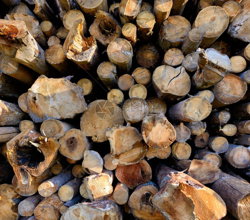木材业或自然的柴材工业或自然的堆叠背景和质地日志桩笨重图片