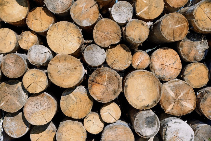 或者木材业或自然的柴材工业或自然的堆叠背景和质地日志林业图片